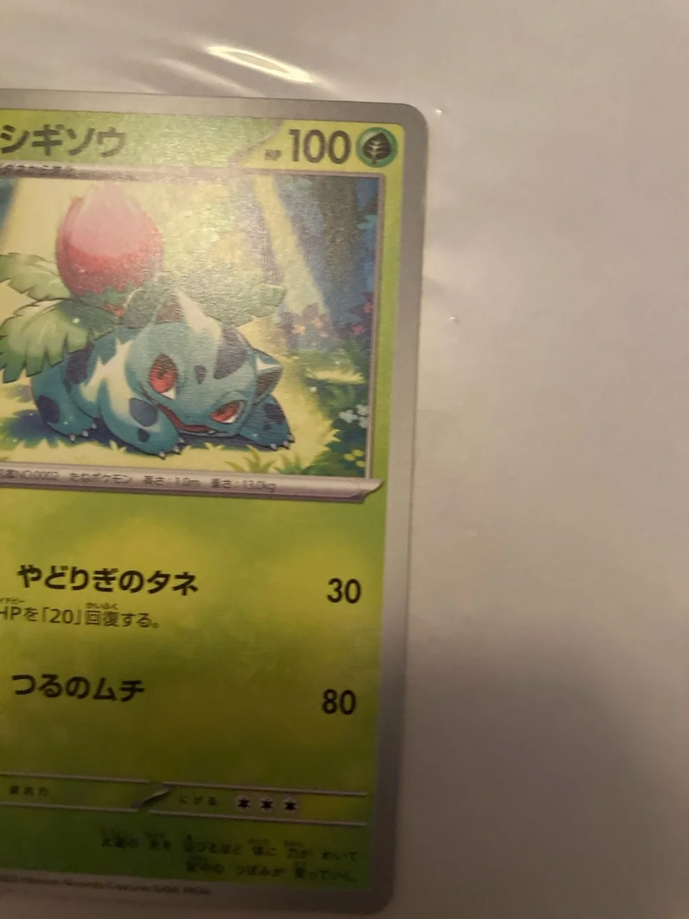 Pokemon Green and Blue Ivysaur Trading Card Japanese